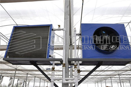 ������ˮů������÷�������װ